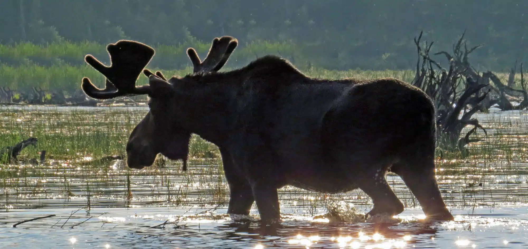 hunting fishing lodging at Northern Pride Lodge Campground Moosehead Lake region Maine 04441 A